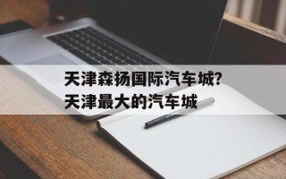 天津森扬国际汽车城？天津最大的汽车城