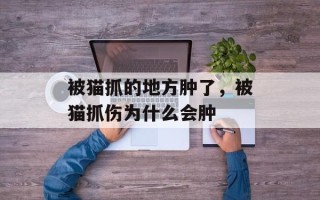 被猫抓的地方肿了，被猫抓伤为什么会肿