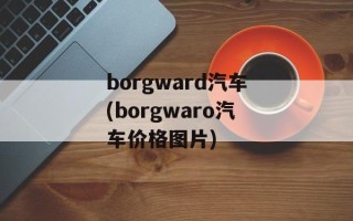 borgward汽车(borgwaro汽车价格图片)