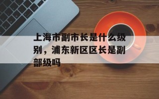 上海市副市长是什么级别，浦东新区区长是副部级吗