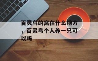 百灵鸟的窝在什么地方，百灵鸟个人养一只可以吗