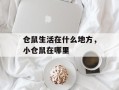 仓鼠生活在什么地方，小仓鼠在哪里