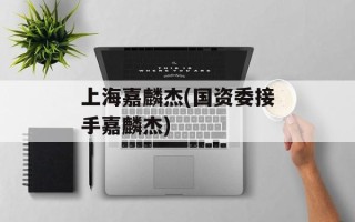 上海嘉麟杰(国资委接手嘉麟杰)