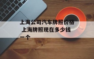 上海公司汽车牌照价格 上海牌照现在多少钱一个