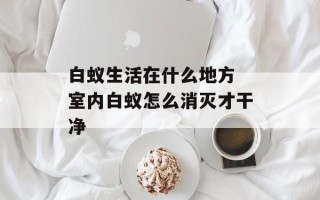 白蚁生活在什么地方 室内白蚁怎么消灭才干净