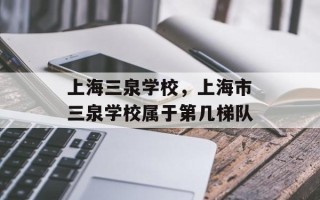 上海三泉学校，上海市三泉学校属于第几梯队