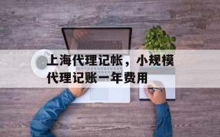 上海代理记帐，小规模代理记账一年费用