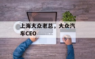 上海大众老总，大众汽车CEO
