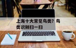 上海十大常见鸟类？鸟类识别扫一扫