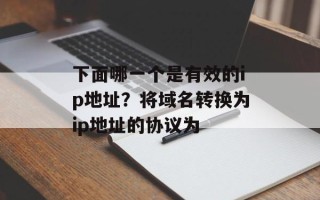 下面哪一个是有效的ip地址？将域名转换为ip地址的协议为