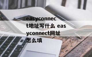 easyconnect地址写什么 easyconnect网址怎么填