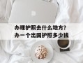 办理护照去什么地方？办一个出国护照多少钱