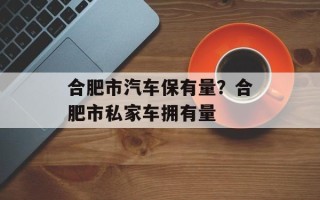 合肥市汽车保有量？合肥市私家车拥有量