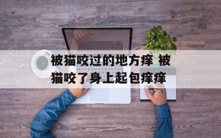 被猫咬过的地方痒 被猫咬了身上起包痒痒