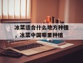 冰菜适合什么地方种植，冰菜中国哪里种植