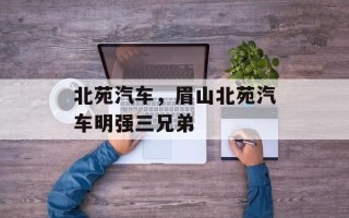 北苑汽车，眉山北苑汽车明强三兄弟