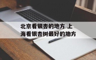 北京看银杏的地方 上海看银杏树最好的地方