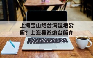 上海宝山炮台湾湿地公园？上海吴淞炮台简介