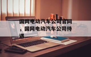 国网电动汽车公司官网，国网电动汽车公司待遇