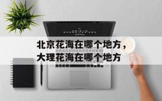 北京花海在哪个地方，大理花海在哪个地方