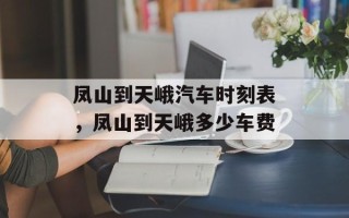 凤山到天峨汽车时刻表，凤山到天峨多少车费