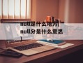 null是什么地方(null分是什么意思)
