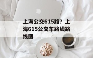 上海公交615路？上海615公交车路线路线图