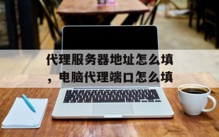 代理服务器地址怎么填，电脑代理端口怎么填