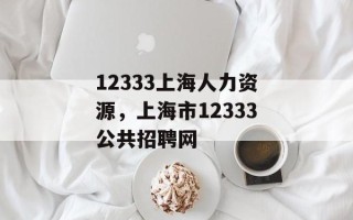 12333上海人力资源，上海市12333公共招聘网