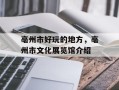 亳州市好玩的地方，亳州市文化展览馆介绍