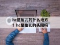 hc是胎儿的什么地方？hc是胎儿的头围吗