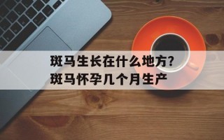 斑马生长在什么地方？斑马怀孕几个月生产