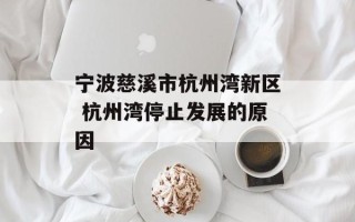 宁波慈溪市杭州湾新区 杭州湾停止发展的原因