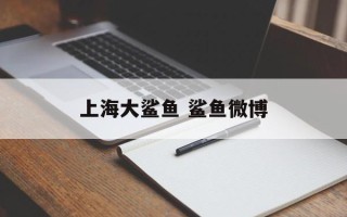 上海大鲨鱼 鲨鱼微博