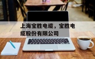 上海宝胜电缆，宝胜电缆股份有限公司