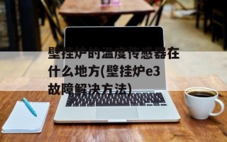 壁挂炉的温度传感器在什么地方(壁挂炉e3故障解决方法)