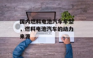 国内燃料电池汽车车型，燃料电池汽车的动力来源