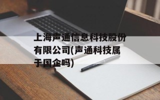 上海声通信息科技股份有限公司(声通科技属于国企吗)