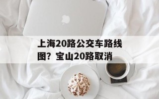 上海20路公交车路线图？宝山20路取消