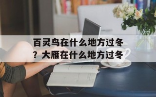 百灵鸟在什么地方过冬？大雁在什么地方过冬