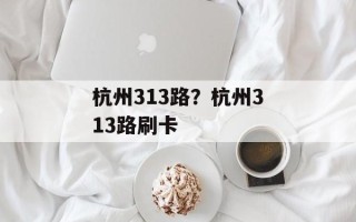 杭州313路？杭州313路刷卡