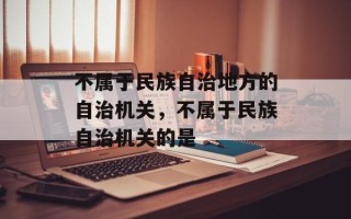 不属于民族自治地方的自治机关，不属于民族自治机关的是