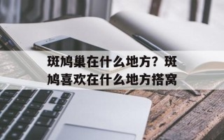 斑鸠巢在什么地方？斑鸠喜欢在什么地方搭窝