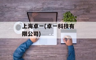 上海卓一(卓一科技有限公司)