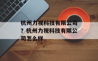 杭州力视科技有限公司？杭州力视科技有限公司怎么样