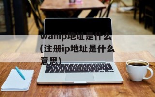 wanip地址是什么(注册ip地址是什么意思)