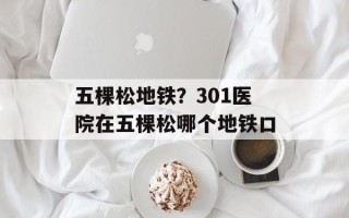 五棵松地铁？301医院在五棵松哪个地铁口