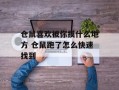 仓鼠喜欢被你摸什么地方 仓鼠跑了怎么快速找到