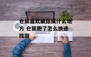 仓鼠喜欢被你摸什么地方 仓鼠跑了怎么快速找到