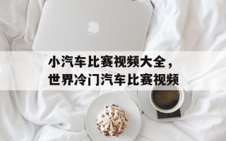 小汽车比赛视频大全，世界冷门汽车比赛视频